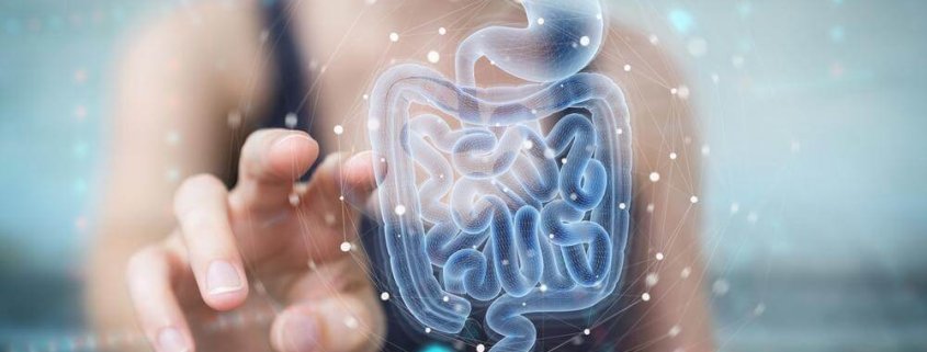 酵素益生菌差別