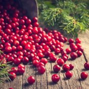 蔓越莓功效大解密