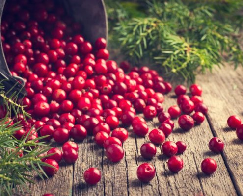 蔓越莓功效大解密